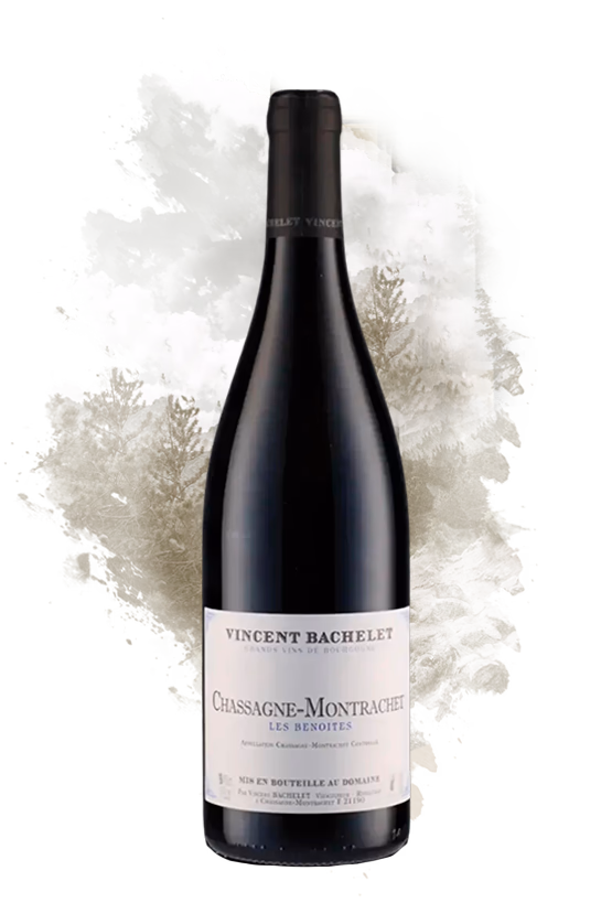 Chassagne Montrachet Rouge